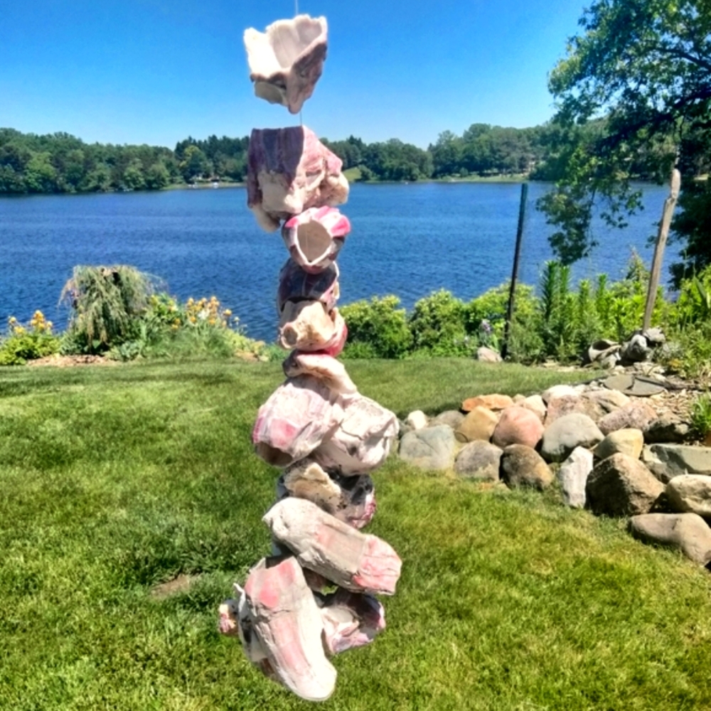 Shell decor Barnacle cluster art. Beach art